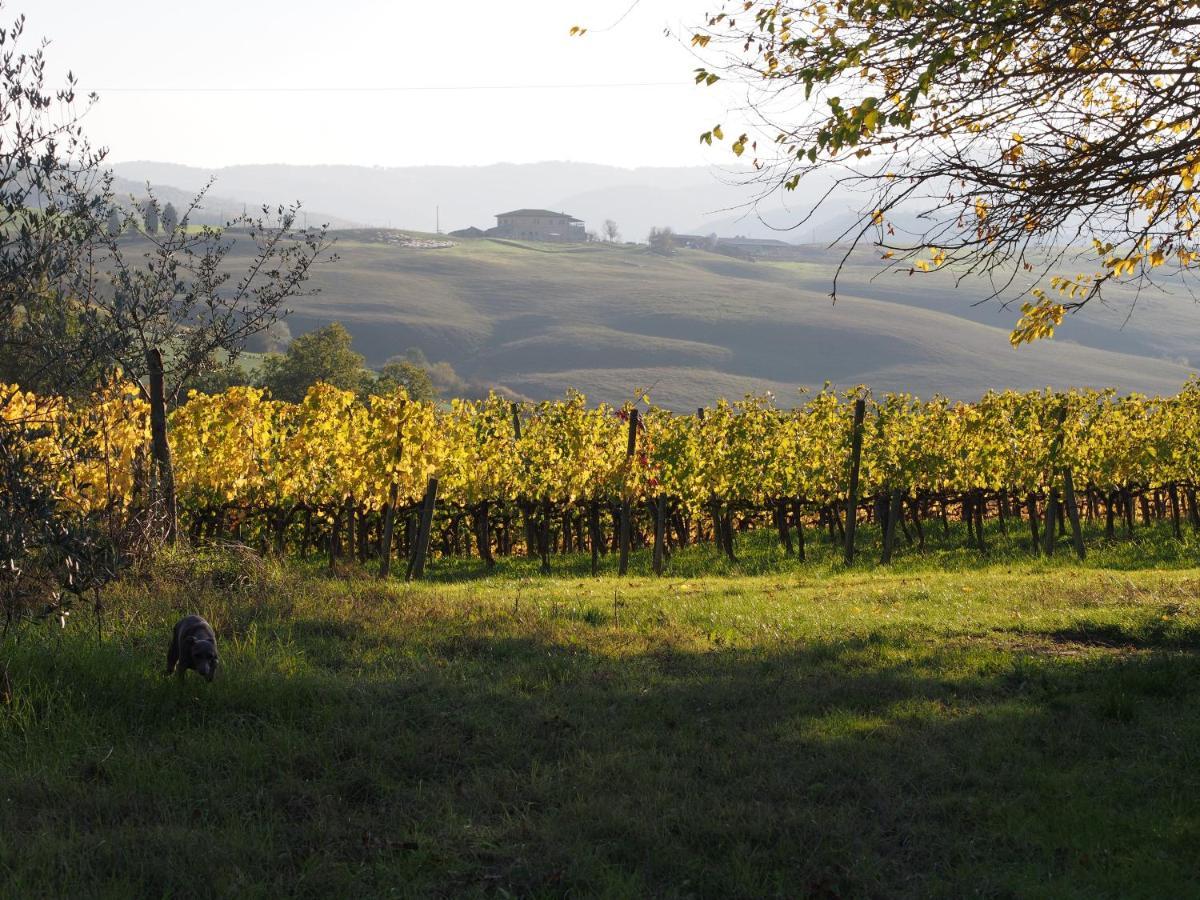 Agriturismo Poggiarellino - Montalcino Exterior foto